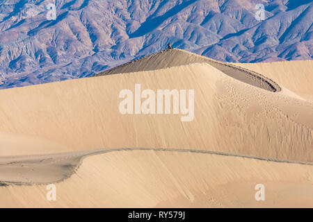 Les dunes de sable de Mesquite Flat sont une vaste zone de dunes de sable bordées de montagnes atteignant 100 pieds et un endroit de choix pour les randonneurs, les photographes et le surf sur sable. Banque D'Images