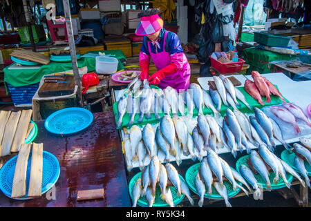 Le marché du poisson de Jagalchi à Busan, en Corée du Sud Banque D'Images