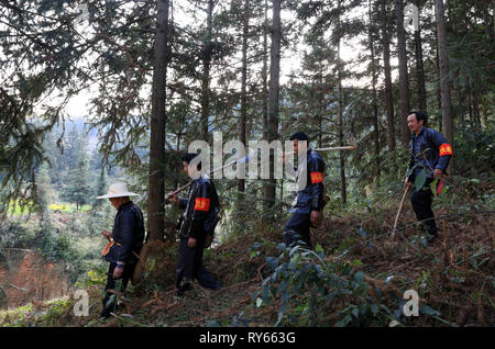 Liping, province du Guizhou en Chine. Mar 11, 2019. Wu Qingxian (1e, L) et des villageois dans la forêt de patrouille Liping County, au sud-ouest de la province du Guizhou, en Chine, le 11 mars 2019. Qingxian Wu, un 75-year-old villageois de l'ethnie Dong à Sizhai Village de Shuangjiang Township, a été volontairement la plantation d'arbres dans les montagnes autour du village depuis avant 1984. Au cours des dernières décennies, l'une fois ont fait de montagnes arides aux forêts denses. Sous sa direction, les gens de villages voisins ont planté plus de 50 000 um (à propos de 3333.3 hectares) d'arbres. Crédit : Yang Daifu/Xinhua/Alamy Live News Banque D'Images