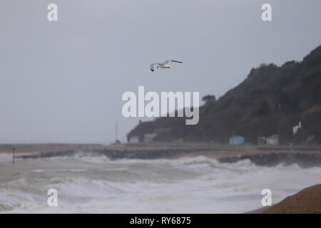 Folkestone, Kent, UK. 12 Mar, 2019. Météo France : Gareth tempête arrive sur la côte sud avec des rafales de vent frapper plus de 55 mph. Le port de Folkestone et le bras de phare qui est en cours de rénovation prend toute la force de la tempête. © Paul Lawrenson, 2019 Crédit photo : Paul Lawrenson / Alamy Live News Banque D'Images