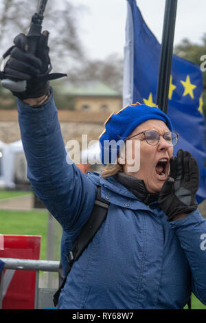 Londres, Royaume-Uni. Mar 12, 2019. Manifestants devant le Parlement britannique à Londres avant la deuxième soi-disant vote utile dans la Chambre des communes le Theresa May's retrait révisé de l'Union européenne (Brexit) Accord. Date de la photo : le Mardi, Mars 12, 2019. Crédit photo doit se lire : Crédit Roger Garfield/Alamy Live News Banque D'Images