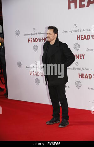 Berlin, Allemagne, 12 mars 2019, Matt Dillon , assiste à la première européenne 'tête pleine de miel' à au Zoo Palast le 12 mars 2019 à Berlin, Allemagne. Un film 'Til Schweiger tête pleine de miel ' est une comédie dramatique qui traite de la démence et la maladie d'Alzheimer . Credit : SAO frappé/Alamy Live News Banque D'Images