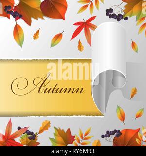 Papier déchiré, les feuilles d'automne et d'automne texte Illustration de Vecteur
