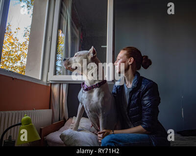 Femme avec grand danois à la fenêtre par while sitting on bed at home Banque D'Images