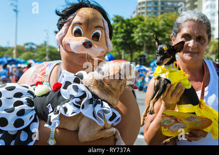 RIO DE JANEIRO - février 19, 2017 : les propriétaires de chiens posent avec leurs animaux domestiques déguisés pour le carnaval annuel à l'Blocão animal street party à Copacabana. Banque D'Images