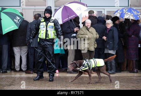 Chien Renifleur en patrouille comme racegoers abri de la pluie pendant qu'ils attendent pour les portes à ouvrir pour défendre jour de la Cheltenham Festival 2019 à l'Hippodrome de Cheltenham. Banque D'Images