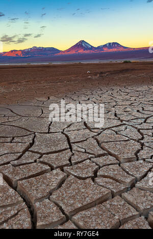 La terre craquelée et le volcan Licancabur au désert d'Atacama. Banque D'Images
