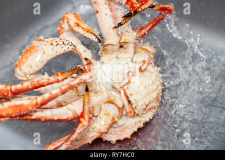 Libre fresh red big blue crabe kamchatka dans le lavabo avec de l'eau se prépare à découper. Régime alimentaire en fruits de mer concept utile au menu, le chef du restaurant premium pr Banque D'Images