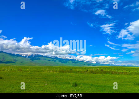 Trop Suusamyr de montagnes enneigées terre herbe Paysage Vallée View Point Banque D'Images