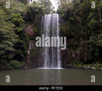 Grand angle de vue des Millaa Millaa Falls à Theresa Creek Road, Millaa Millaa, Atherton, Région de l'extrême nord du Queensland, en Australie. Banque D'Images