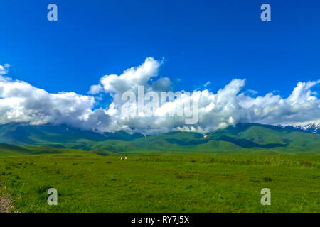 Trop Suusamyr de montagnes enneigées terre herbe Paysage Vallée View Point Banque D'Images