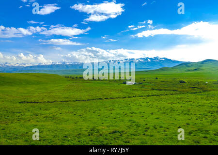 Trop Suusamyr de montagnes enneigées terre herbe Paysage Vallée View Point Banque D'Images