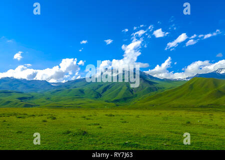 Trop Suusamyr de montagnes enneigées terre herbe Paysage Vallée View Point Banque D'Images