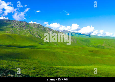 Trop Suusamyr de montagnes enneigées terre herbe Paysage Vallée View Point Banque D'Images