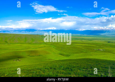 Trop Suusamyr de montagnes enneigées terre herbe Paysage Vallée View Point Banque D'Images