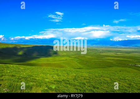 Trop Suusamyr de montagnes enneigées terre herbe Paysage Vallée View Point Banque D'Images