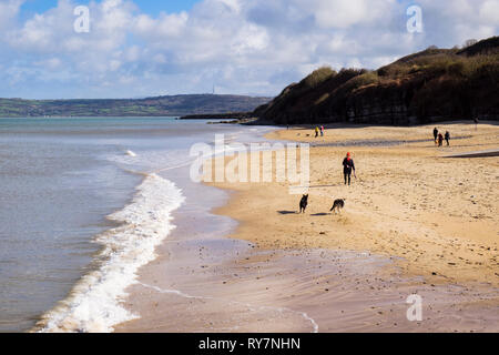 Les promeneurs de chiens sur la plage de sable tranquille dans winter sunshine à marée haute. Benllech, Isle of Anglesey, au nord du Pays de Galles, Royaume-Uni, Angleterre Banque D'Images