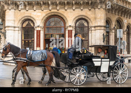 Un cheval et un chariot à l'extérieur de Cafe Central en Vienne Autriche Banque D'Images