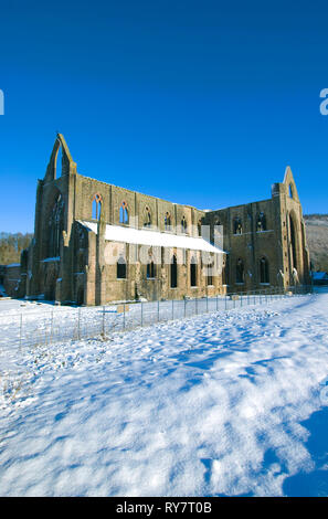 Abbaye de Tintern, vallée de la Wye, Monmouthshire, Gwent, South East Wales, UK Banque D'Images
