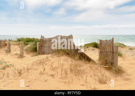 Roseaux pour le sable pour former des dunes du parc naturel Calblanque en Espagne Banque D'Images