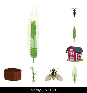 Fly,grenier,printemps, pain, l'orge d'hiver,souches,insectes,spike,bâtiment,,root,dur,lutte,industrie,brown, contrôle,,farine,automne,sols,stop,graines,sain,Culture,ailes,son de blé,maïs glucides,grain,récolte,ferme,terrain,agriculture,agriculture,seigle,plantes,,set,icône,,illustration,collection,isolé,design,graphisme,élément signe,caricature,couleur,vecteurs vecteur , Illustration de Vecteur