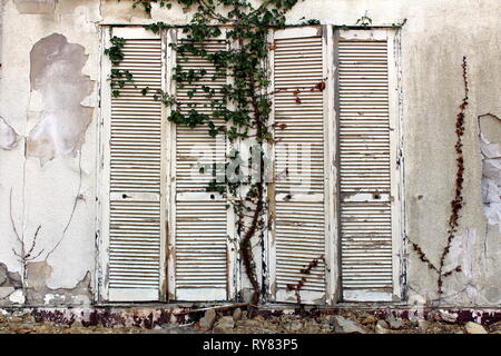 Grand blanc en bois fermée stores délabrés monté sur mur fissuré de l'hôtel abandonné bâtiment avec les plantes et les roches en chenilles/ Banque D'Images