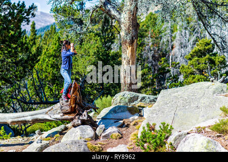 Vue latérale du female hiker binoculars debout en forêt durant les jours ensoleillés Banque D'Images