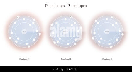Les isotopes de l'élément chimique du phosphore structure atomique toile illustration Banque D'Images