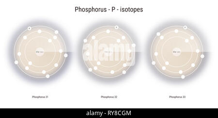Les isotopes de l'élément chimique du phosphore structure atomique toile illustration Banque D'Images