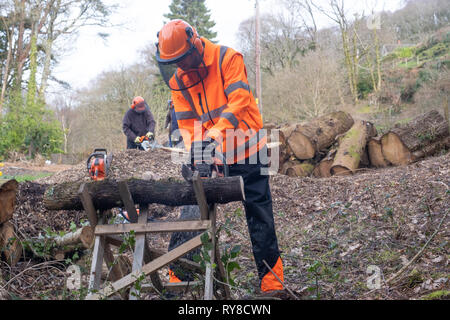 Compétences en foresterie l'éducation : les personnes prenant part à un atelier de formation d'une journée à l'entretien et en toute sécurité l'utilisation d'une scie. Pays de Galles UK Banque D'Images