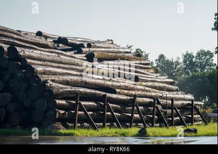 Pile de journaux humides Banque D'Images