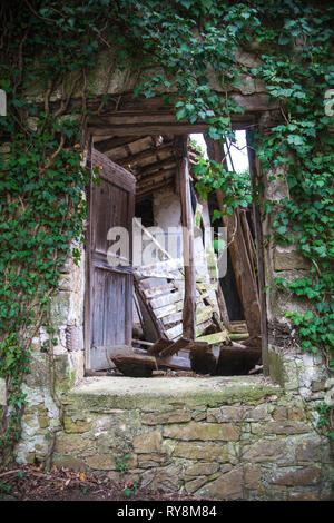 Une entrée pour le grenier d'une maison abandonnée envahie par l'herbe à puce. La maison est dans un village abandonné dans Slapnik région Goriska Brda, la Slovénie. Banque D'Images