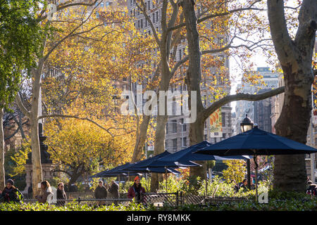 Union Square Park à l'automne est inondé en jaune les feuilles tombées, NYC, USA Banque D'Images