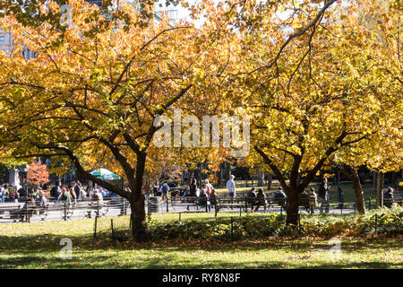 Journée d'automne ensoleillée à Washington Square Park, NYC Banque D'Images