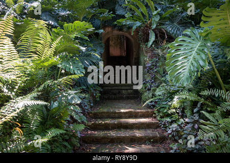 La porte cachée et chemin de brique étapes de forêt tropicale enchanteresse - Fort-Canning, Singapour Banque D'Images