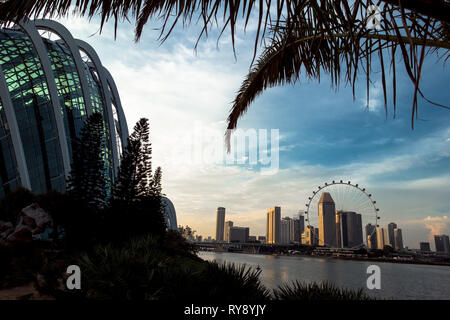 Dôme de fleurs et édifices du centre-ville avec la grande roue Singapore Flyer, de jardins par La Baie - Singapour Banque D'Images