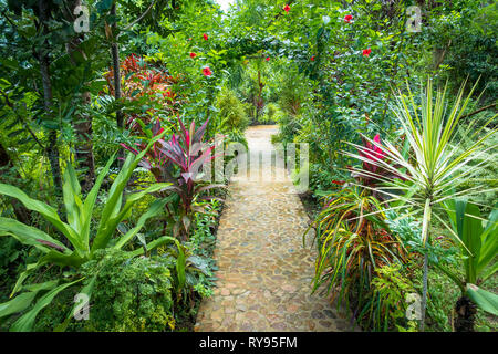 Voie pavée dans jardin tropical luxuriant - El Nido, Palawan, Philippines Banque D'Images