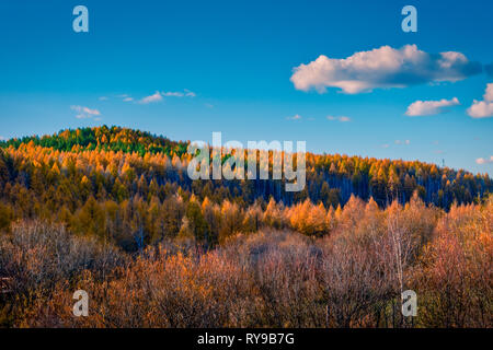 Chaîne de montagnes boisées contre un ciel bleu et nuages spectaculaires au cours de l'automne en Mongolie intérieure, Chine Banque D'Images