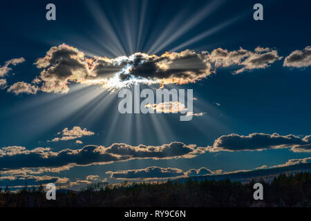 Sun Star brillant contre les nuages et les arbres dans la forêt en automne Banque D'Images