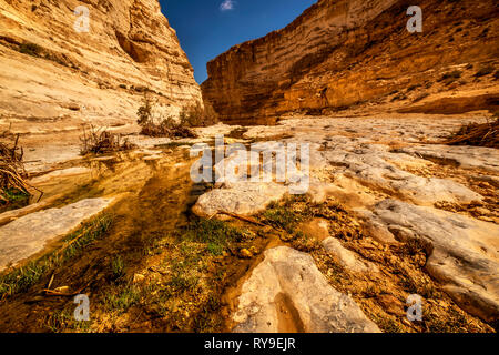 La réserve naturelle d'Ein Ovdat, Israël Banque D'Images