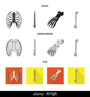 Nervure, colonne vertébrale,foot,fémur,,cage,chiropratique,cheville,osseuses xray,sain,base,jambe,body,moelle,la podologie,Genou,ostéoporose,avant-pied,tibia,sternum,posture,panneaux,péroné,sternum,les pieds plats,linstallation,mouvement,calcium,joints,,chirurgie,dommage,médecine,clinique,biologie,médical,os,squelette humain,anatomie organes,,set,icône,,illustration,collection,isolé,design,graphisme,élément vecteur vecteurs,signer , Illustration de Vecteur