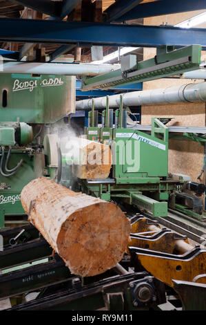 Sciage sur la courroie du convoyeur à l'usine de bois d'oeuvre Banque D'Images