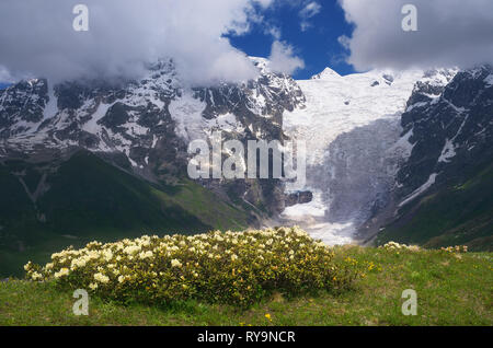 Paysage de montagne avec des fleurs beiges de rhododendron dans le pré. Journée ensoleillée en été. La crête caucasienne Principale. Svaneti montagneux, la Géorgie. Voir Banque D'Images