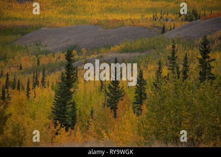 Route du Klondike, région du Klondike, Yukon Territory, Canada Banque D'Images