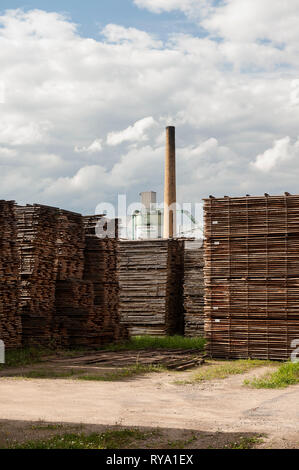 Des piles de bois à Dépôt Banque D'Images