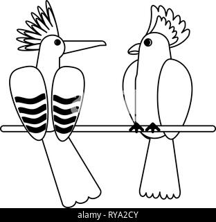 Oiseaux Exotiques Dessins Animés En Noir Et Blanc Vecteurs