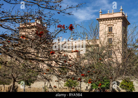 Musée des Beaux Arts de Valence, Museo de Bellas Artes, vue du parc Turia, Espagne Banque D'Images