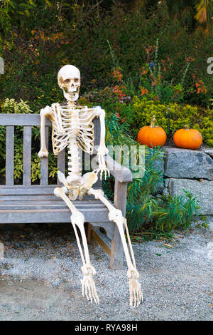 La squelette assis sur le banc en bois dans le parc. L'Halloween. Banque D'Images