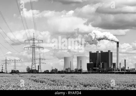 DAS Brunkohlekraftwerk Schkopau mit Stromleitungen vor einem Rapsfeld Banque D'Images