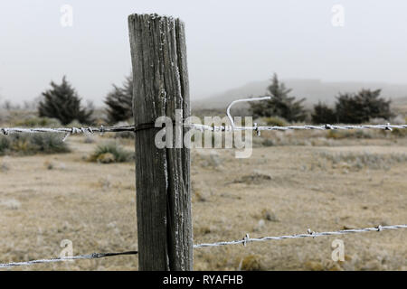 Close up of a post holding barbelés bordant le lac Scott State Park dans l'ouest du Kansas, Février 2019 Banque D'Images